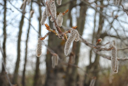 DSC_0354.jpg