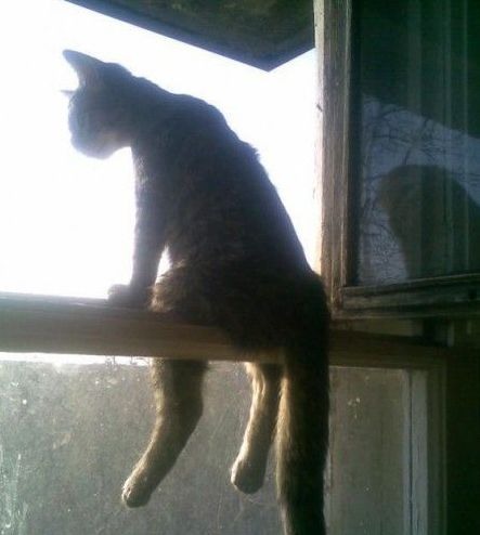 1270626550_1.jpg