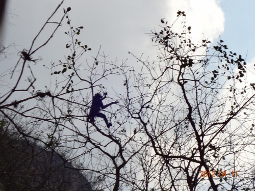 М44.jpg