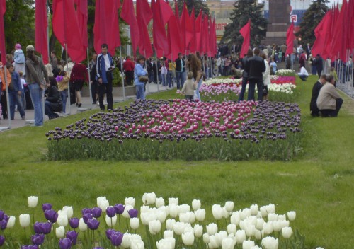 19.jpg