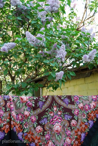 Воспоминание о лете - 18