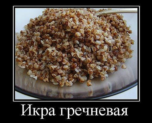 икра.jpeg