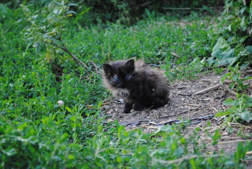 DSC_0282.jpg