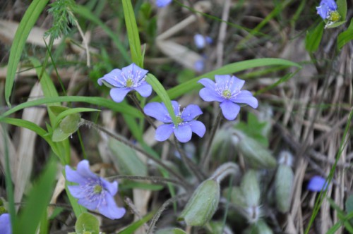 DSC_5732.JPG