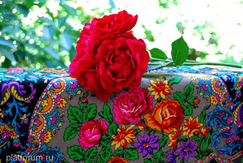 Медальоны-18