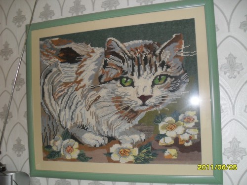 Чеширский кот)
