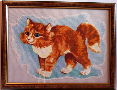 Котик.jpg
