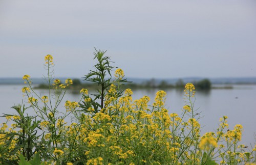IMG_4999.JPG