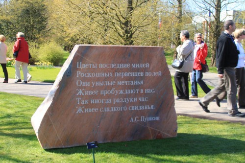 IMG_6703.JPG