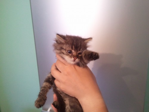 2011-06-06 19.39.24.jpg