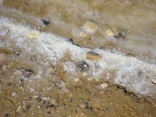 Dead Sea3.jpg