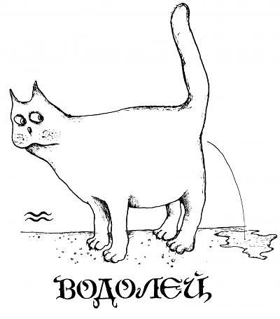 водолей.jpg