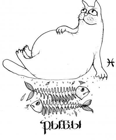 рыбы.jpg