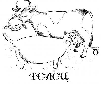 телец.jpg