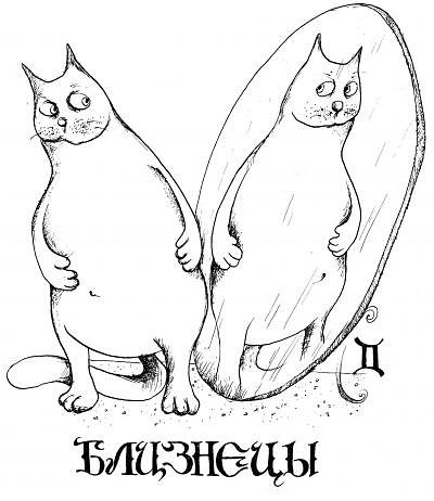 близнецы.jpg