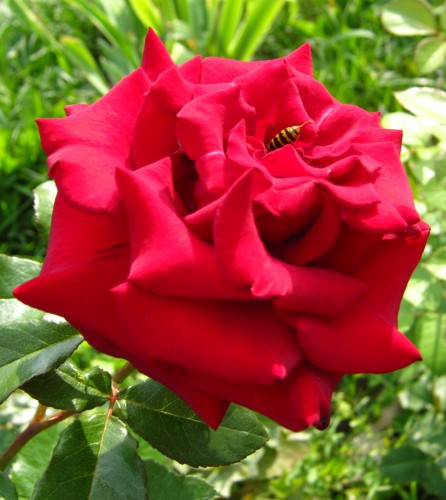 Файл 01846-1.jpg