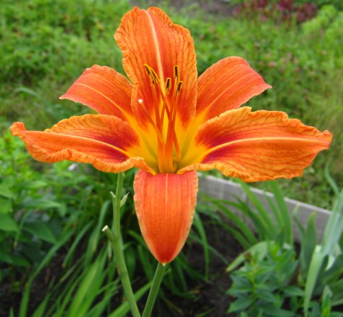 Файл 02052-1.jpg