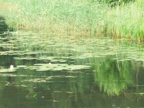 100_2234.JPG