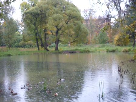 P1000723.JPG