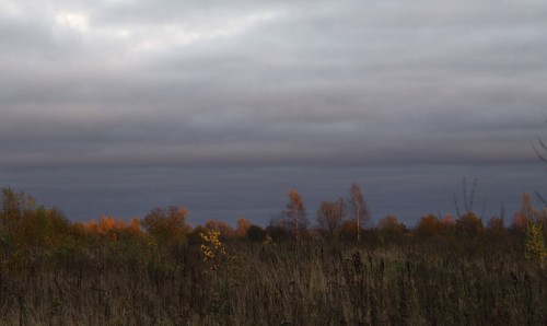 IMG_7366_1.jpg