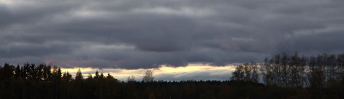 IMG_7388_1.jpg