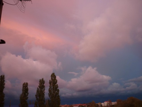 P1100906+.jpg