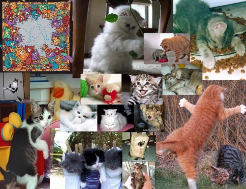 Коллаж-Март-коты.JPG