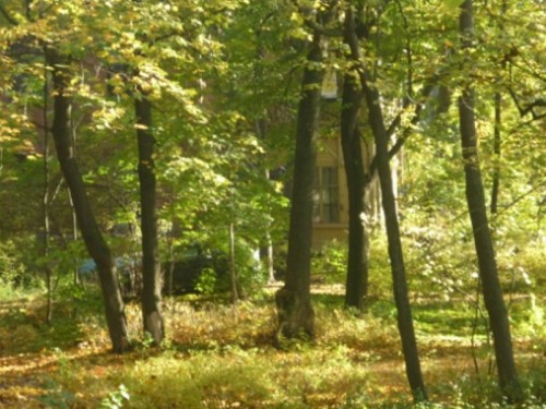 P1000772.JPG