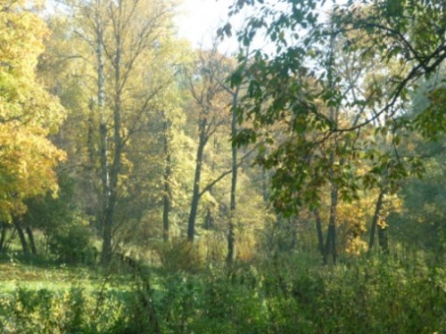 P1000796.JPG