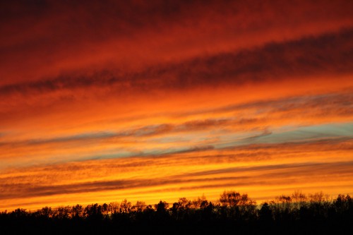 IMG_7518_1.jpg