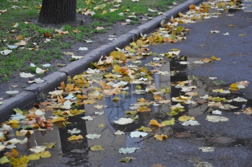 DSC_2126.JPG