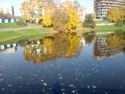 P201012_1313[02].jpg