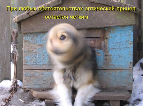 1108477.jpg
