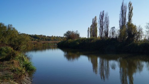 DSC01565.jpg