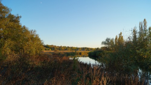 DSC01634.jpg