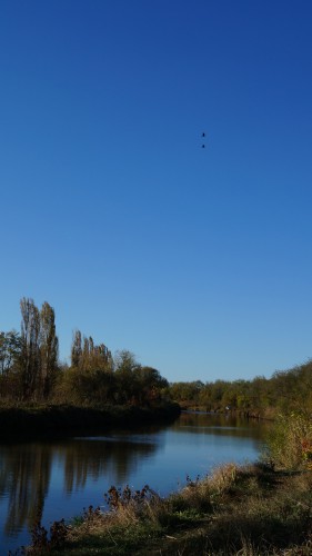 DSC01593.jpg