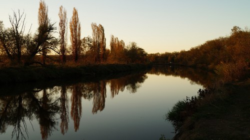 DSC01662.jpg