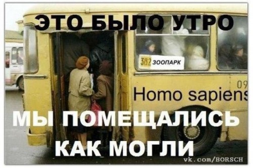 автобус.jpg