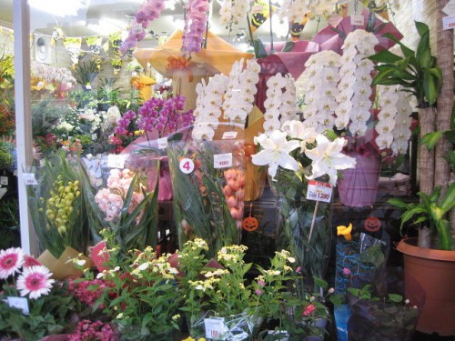 А букет себе,я подарила!300 рублей,с горшком:)