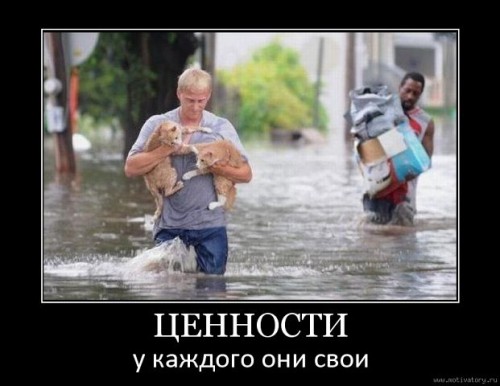 ценн.jpg