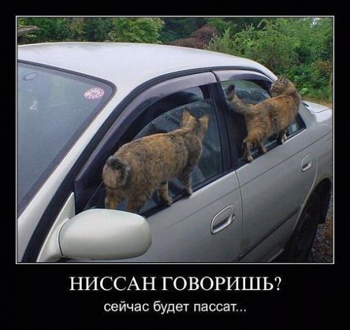ниссан.jpg