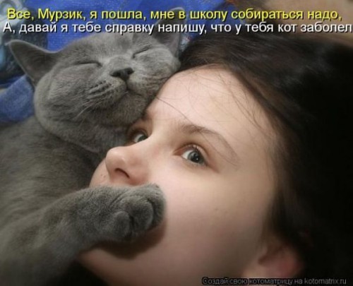 getImage-КОТ ЗАБОЛЕЛ.jpg