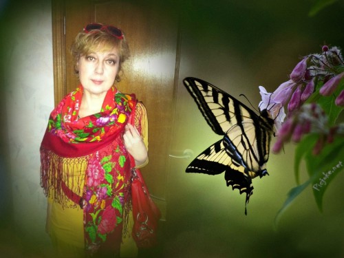 коллаж И-СадИрис.jpg