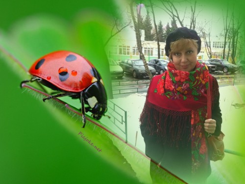 коллаж И-СадБ1.jpg