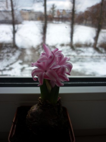 P1110005+.jpg