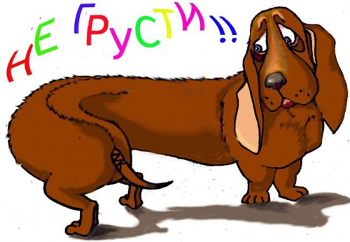 не грусти-Бассет.jpeg