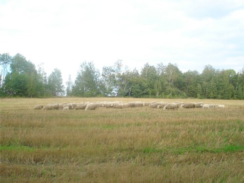 01.jpg
