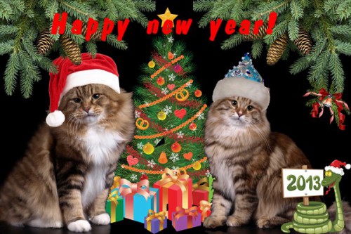 С Новым годом!