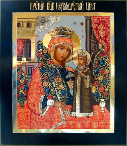 10-Неувядаемый ЦВ,.jpg