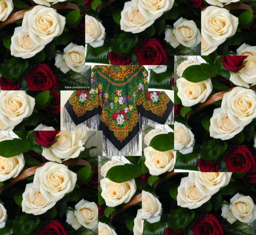 Белые розы -коллаж.JPG